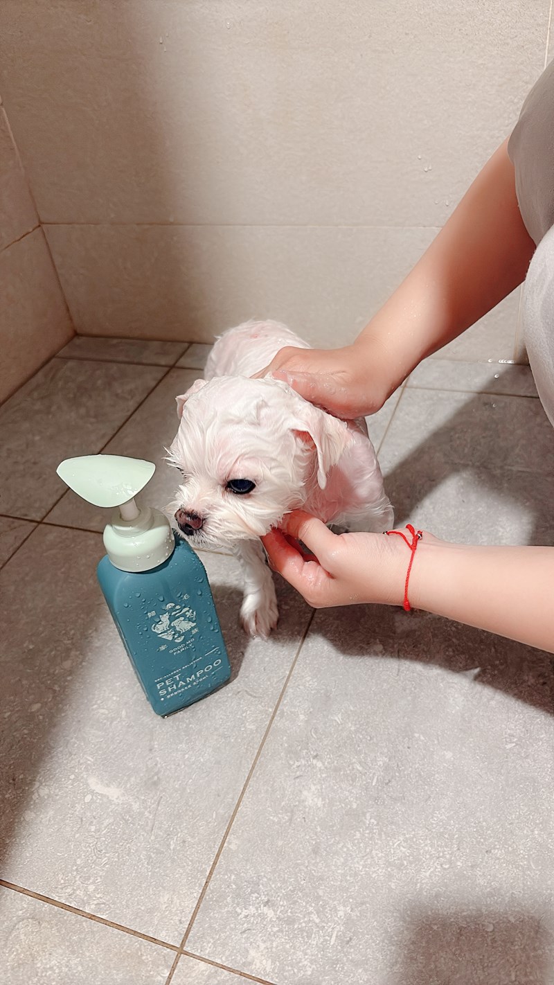 女人知己試用大隊,口碑行銷,部落客行銷,Goodmofamily歸毛家族 寵物肌膚救星組,歸毛家族 寵物肌膚救星,舒敏保濕洗毛乳,護膚噴液,精萃營養霜,博士30年生技專業,給足皮膚營養保護力,無抗生素 無類固醇,神經醯胺,19種綜合胺基酸,榮獲SNQ國家認證,上萬毛爸媽見證,3週幫助皮膚健康,NO.1寵物肌膚口碑霸主,寵物第一護膚領導品牌